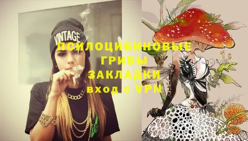 Галлюциногенные грибы Magic Shrooms  купить закладку  Беслан 